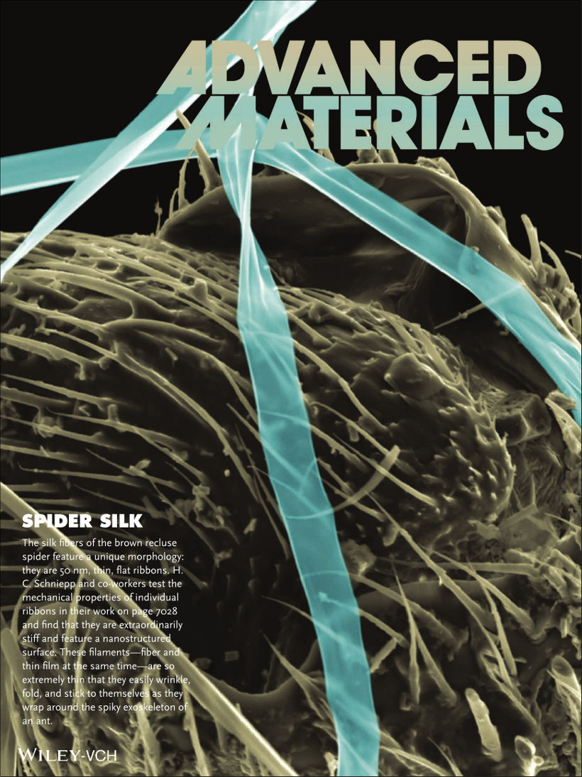 2013-12-23_frontispiece_820.jpg